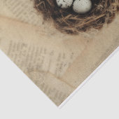 Bird Nest Old  Antiek Retro Brown Eggs Tissuepapier (Detail)