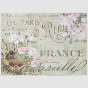 Bird Nest Roos French Script  Decoupage Big Tissuepapier