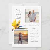 Bird-of-paradise 2 Foto's Kaart (Voorkant)