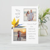 Bird-of-paradise 2 Foto's Kaart (Staand voorkant)