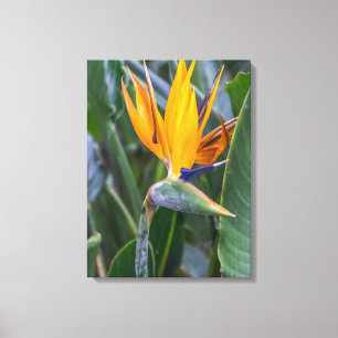 Bird of Paradise bloemendoek uitzicht print
