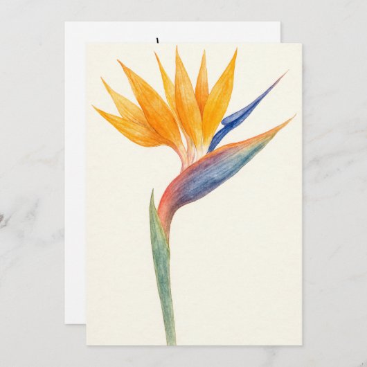 Bird of Paradise Botanisch Briefkaart (Voorkant / Achterkant)
