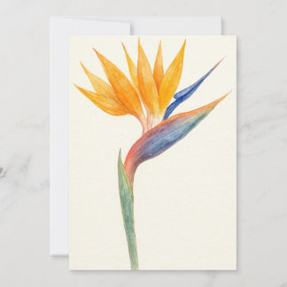 Bird of Paradise Botanisch Briefkaart