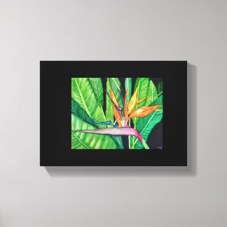 BIRD OF Paradise canvas Afdruk