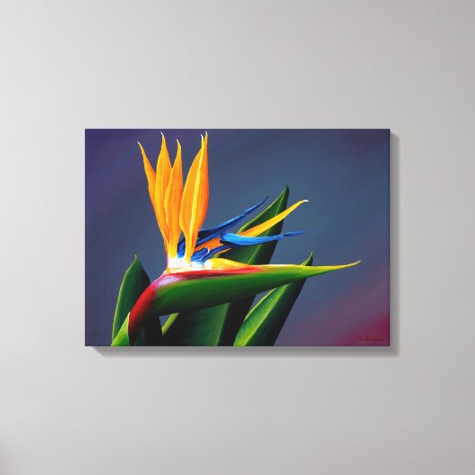 Bird of Paradise Canvas Print (Voorkant)