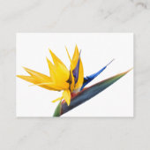 Bird of Paradise Détails du Mariage Cartes de boît (Dos)
