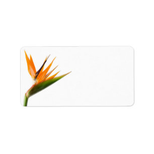 Bird of Paradise huwelijkslabels Etiket