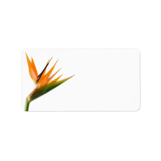 Bird of Paradise huwelijkslabels Etiket (Voorkant)