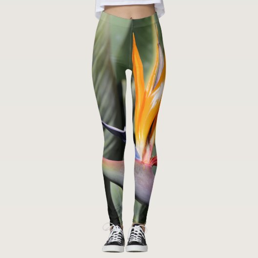 Bird of Paradise Leggings - Mode Fleur unique (Devant)