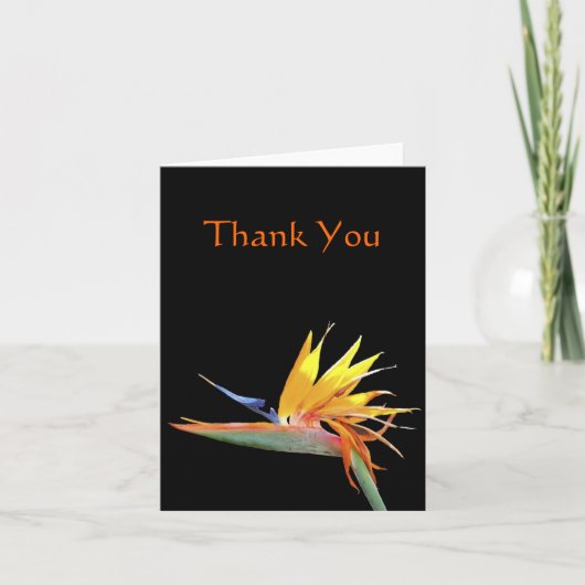 Bird of Paradise Merci Note (Devant)