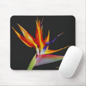 Bird of Paradise Mousepad Muismat (Met muis)