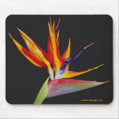 Bird of Paradise Mousepad Muismat (Voorkant)