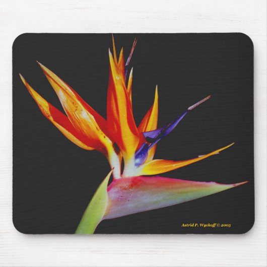 Bird of Paradise Mousepad Muismat (Voorkant)
