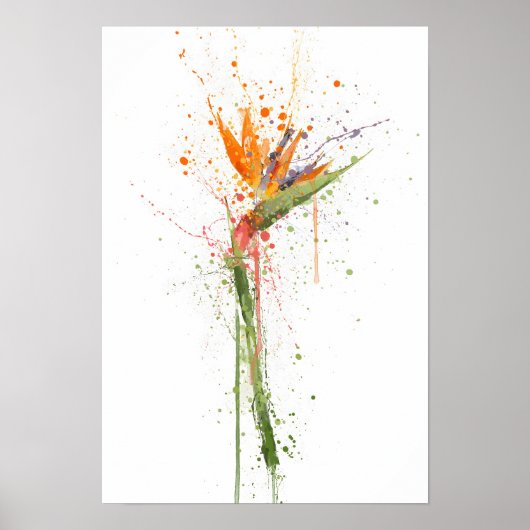 Bird of Paradise Poster (Voorkant)