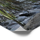 Bird on Rocks Poster (Hoek)