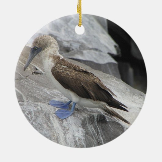 Bird Ornament (Achterkant)