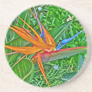 Bird Paradise Hawaii onderzetters