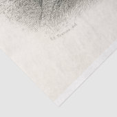 Bird Peacock Ephemera Decoupage Frans Tissuepapier (Detail)