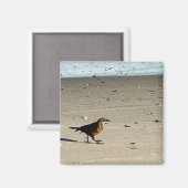 Bird Photo Magnet Magneet (Voorkant / Achterkant)