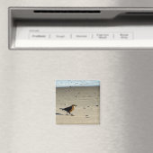Bird Photo Magnet Magneet (Insitu (Vaatwasser))