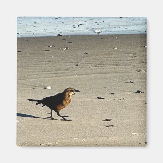Bird Photo Magnet Magneet (Voorkant)