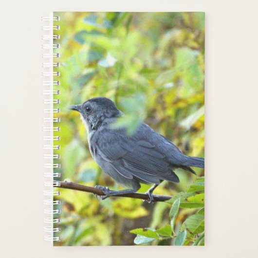 Bird Photo Planner (Devant)