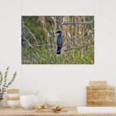 Bird Photo Poster (Keuken)
