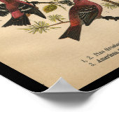 Bird Print Pine Grosbeak Red Black (Hoek)