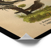 Bird Print Yellow Shrike Chat  (Hoek)