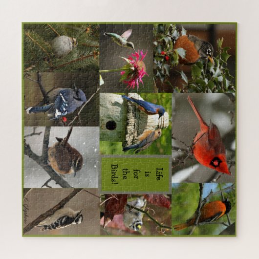 Bird Puzzle (Horizontal)