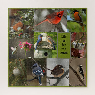 Bird Puzzle