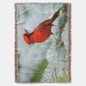 BIRD red_blanket couverture (devant Vertical)