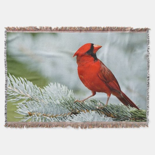 BIRD red_blanket couverture (Devant)