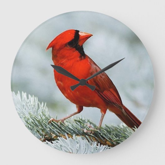 Bird red_iphone grote klok (Voorkant)