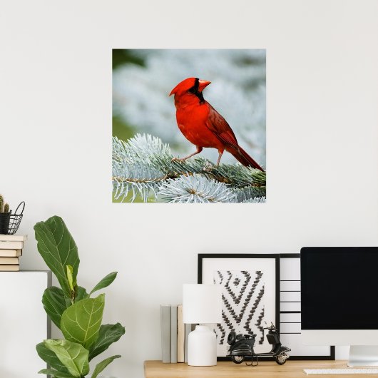 Bird red poster (Thuiskantoor)