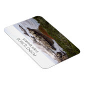 Bird Rock, Point Lobos State Reserve Magneet (Rechterzijde)