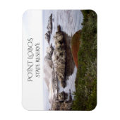 Bird Rock, Point Lobos State Reserve Magneet (Verticaal)