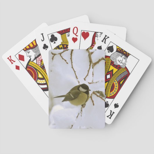 Bird Snow Classic Speelkaarten (Achterkant)