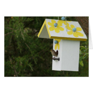 Bird Song