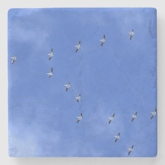 Bird Stenen Onderzetter