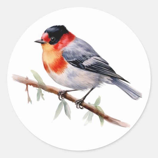 Bird Stickers Red-facing Warbler (Voorkant)