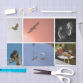 Bird Theme Crow Duck Condor Egret Mixed Media Tissuepapier (Craft)