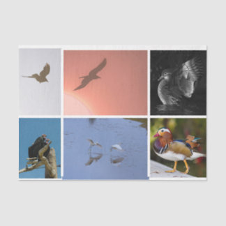 Bird Theme Crow Duck Condor Egret Mixed Media Tissuepapier