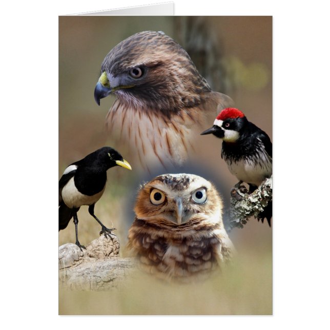 Bird Watcher Collage Cards (Voorkant)