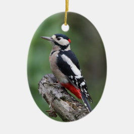 Bird Watcher Keramisch Ornament