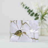 Bird Winter fotografie Briefkaart (Staand voorkant)