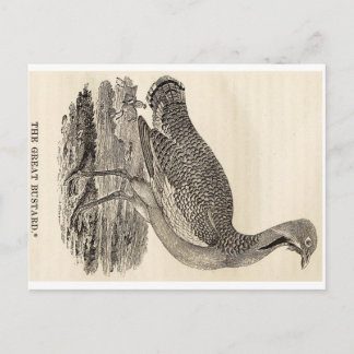 Bird Woodcut Briefkaart