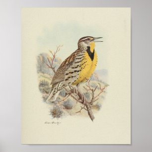  Bird Yellow Brown bespikkeld print