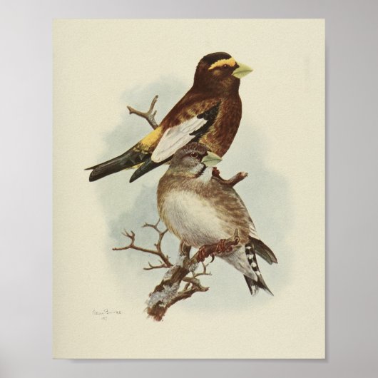  Bird Yellow Brown Print (Voorkant)