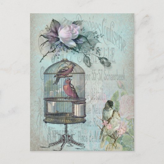 Birdcage Blossom Briefkaart (Voorkant)